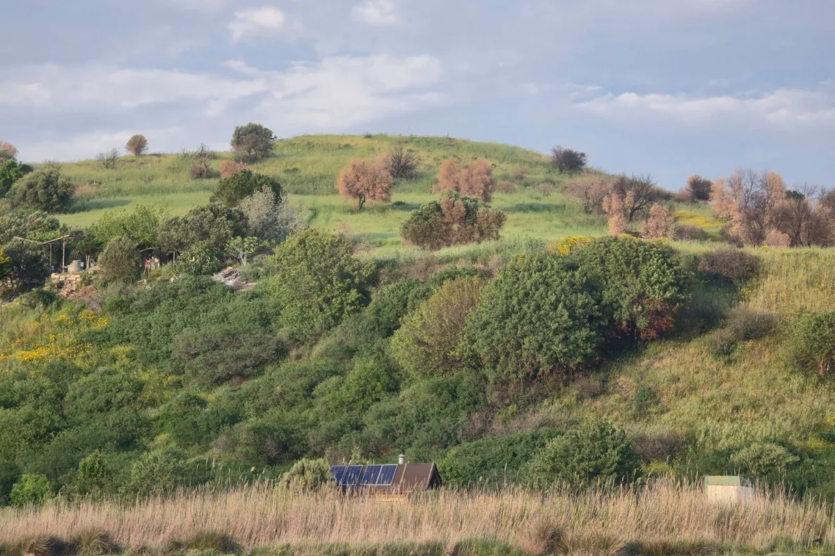 Peaceful hillside with lush greenery and a solar-paneled cabin by the water.